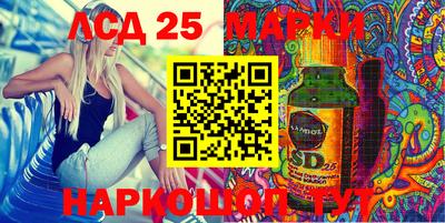сатива Моздок