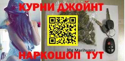 сатива Моздок