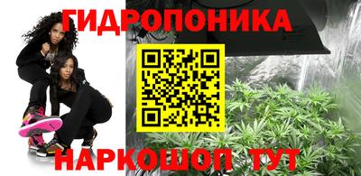 крисы Можайск