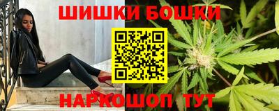 сатива Моздок