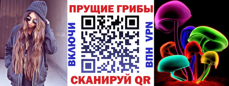 цена наркотик  Новосибирск  Галлюциногенные грибы GOLDEN TEACHER 