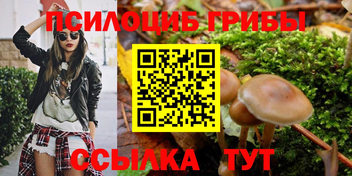 Галлюциногенные грибы Psilocybine cubensis Новосибирск